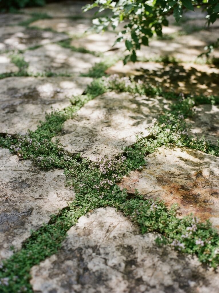 Flagstone patio idea with moss and thyme-filled joints