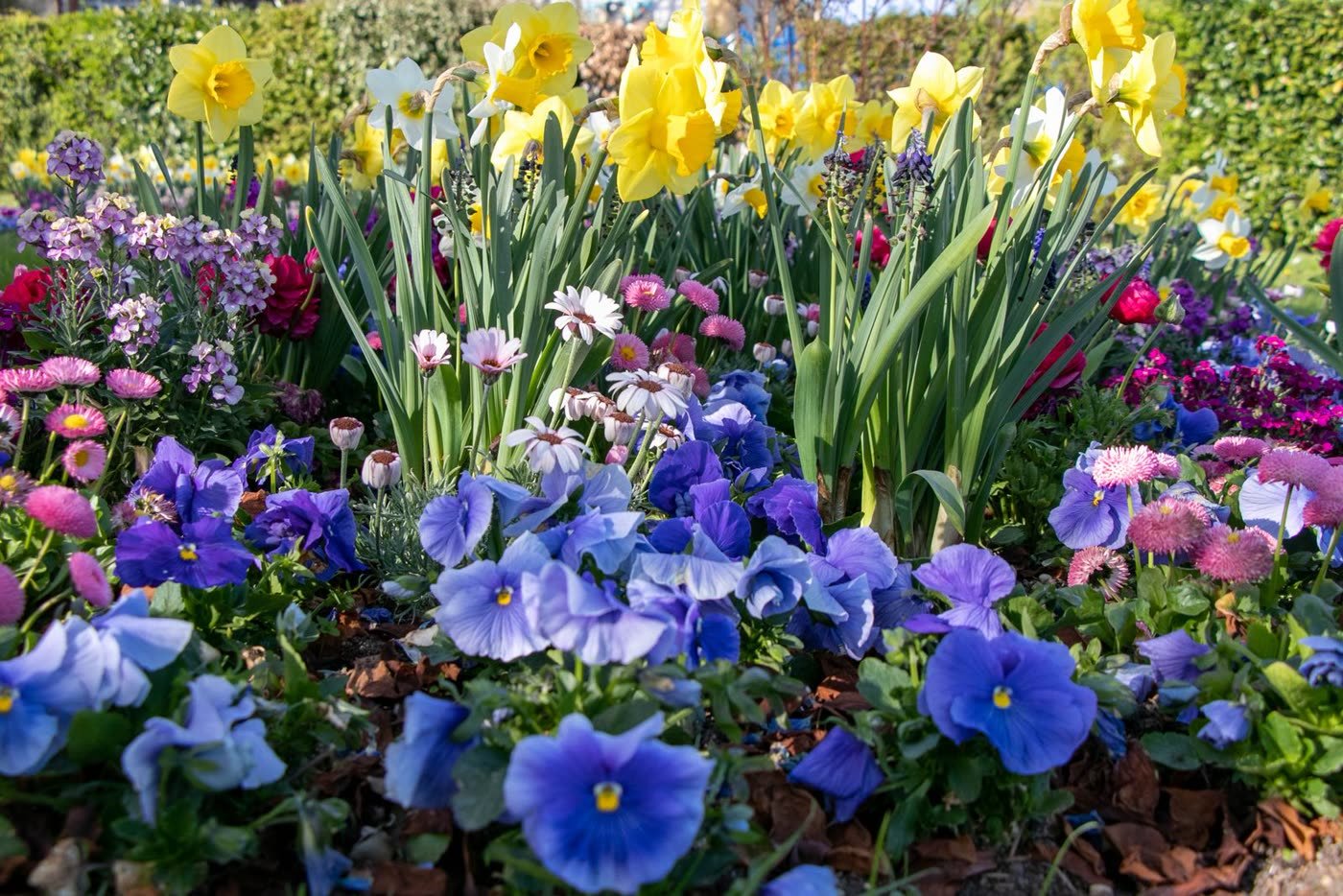 Layered Flower Bed