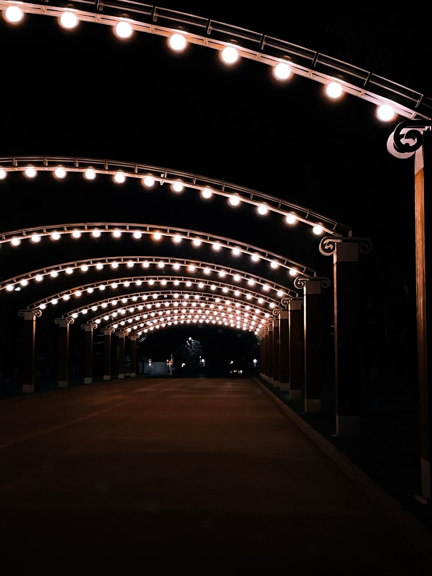 Night-Lighting Border