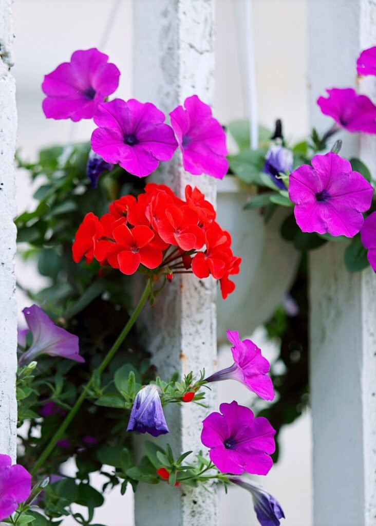 backyard fence line landscaping ideas - Cozy Patio Home