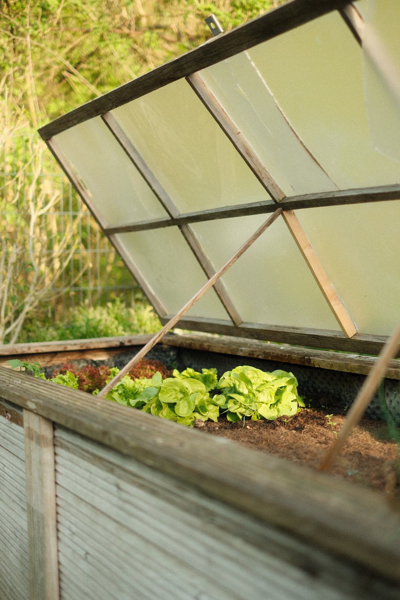 Build One Raised Bed