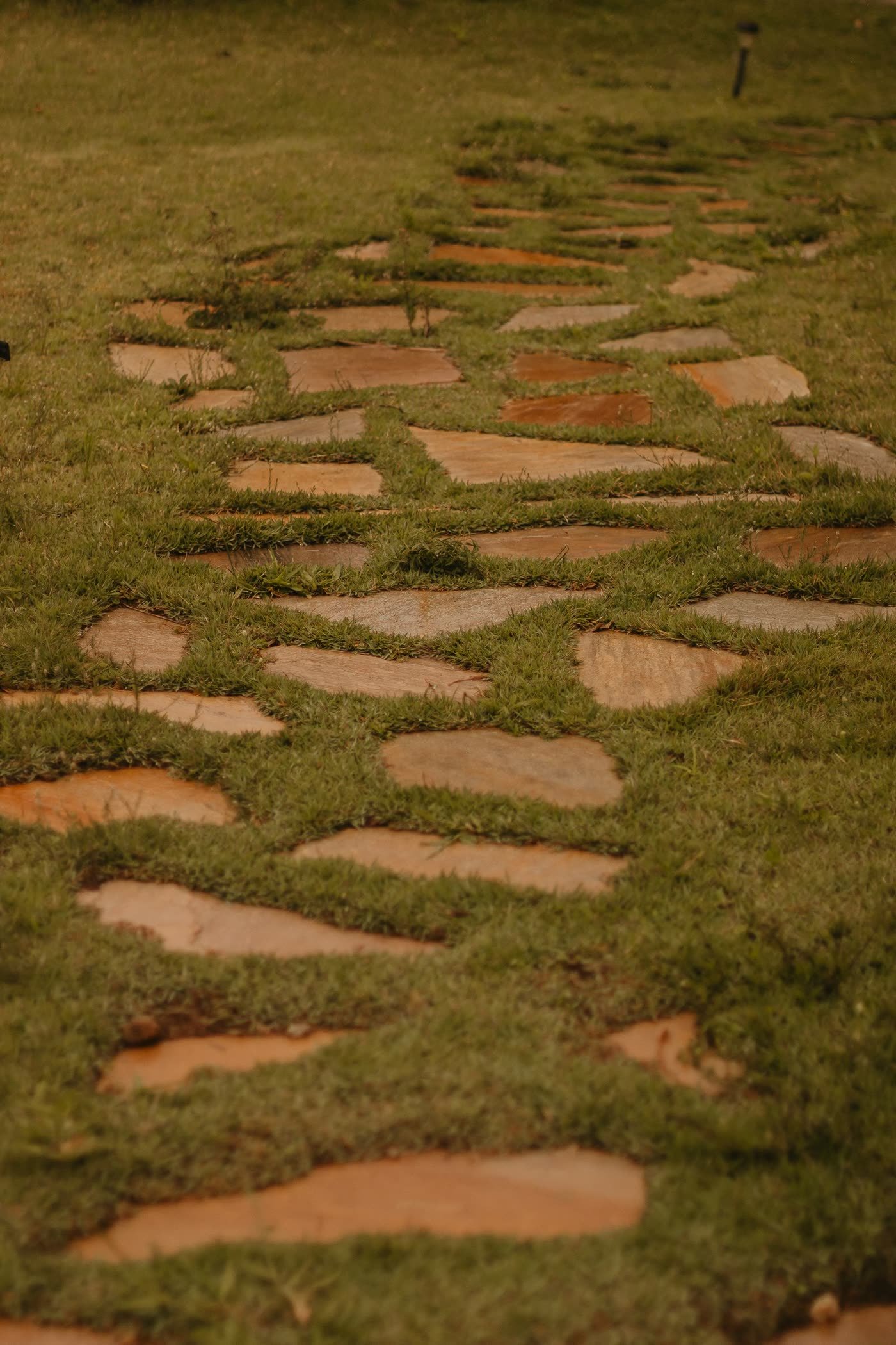 Lay a Simple Stepping-Stone Path