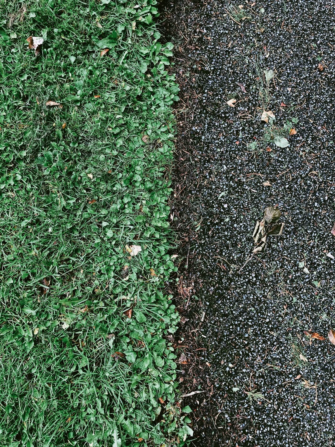 Top-Dress the Lawn
