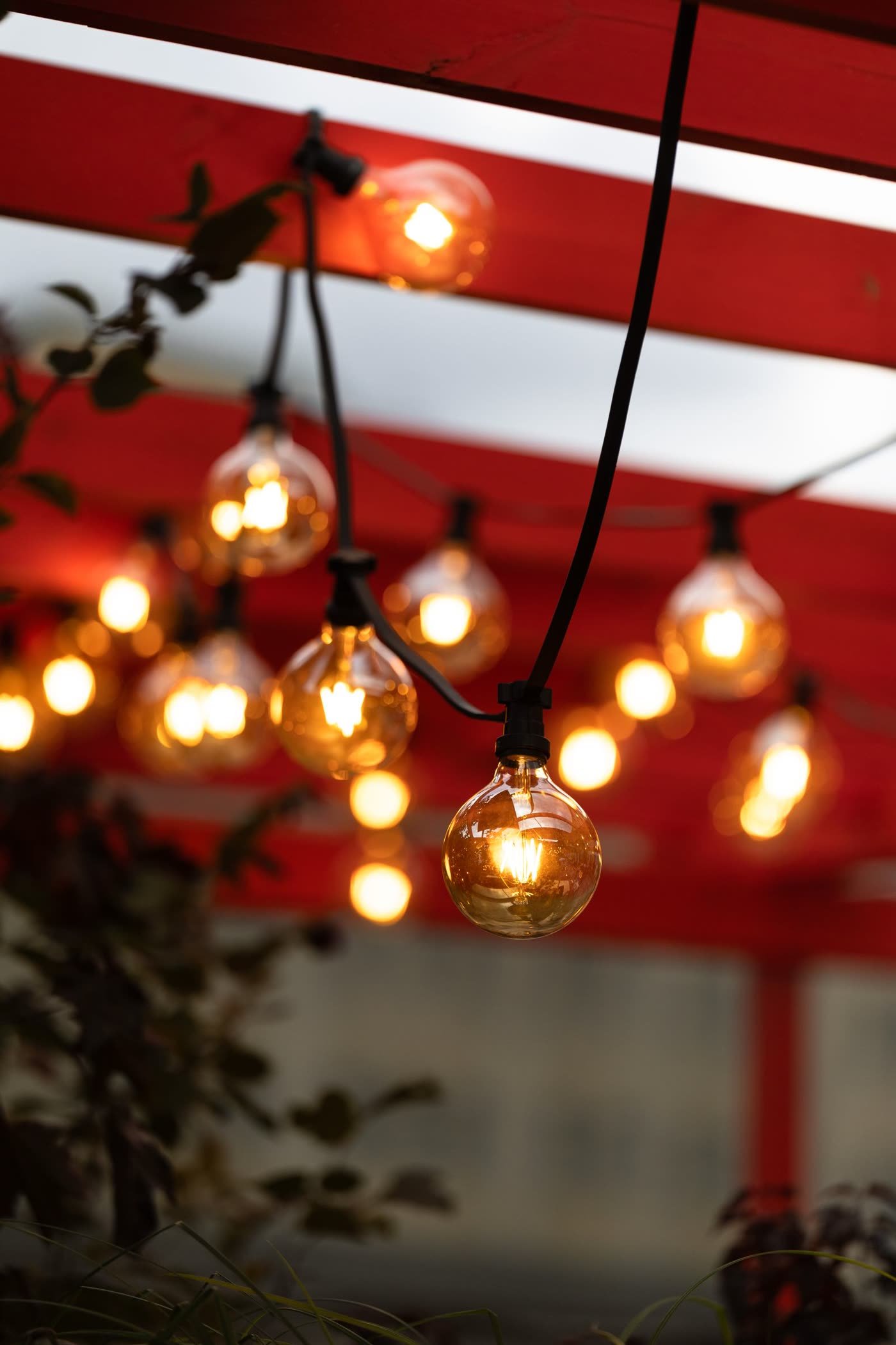 Lighting: String Lights Set the Mood