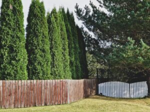 backyard privacy ideas no fence - Cozy Patio Home