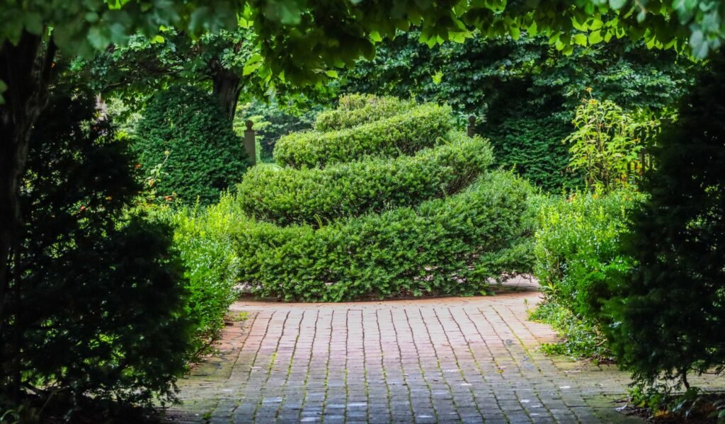 backyard walkway ideas - Cozy Patio Home