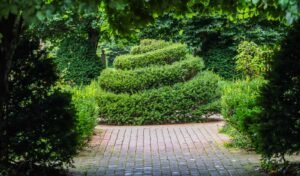 backyard walkway ideas - Cozy Patio Home