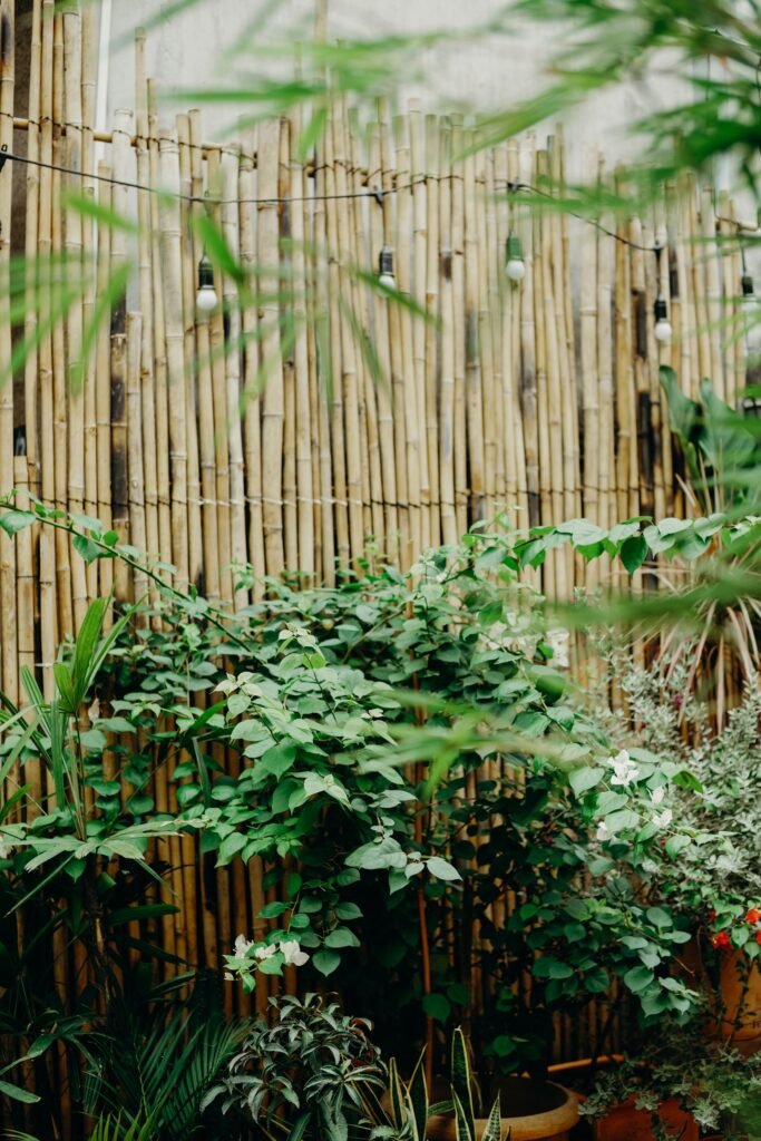 Backyard yoga space ideas — bamboo screen creating a private yoga cocoon
