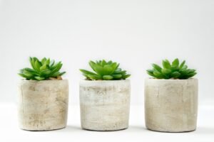 diy concrete planter - Cozy Patio Home