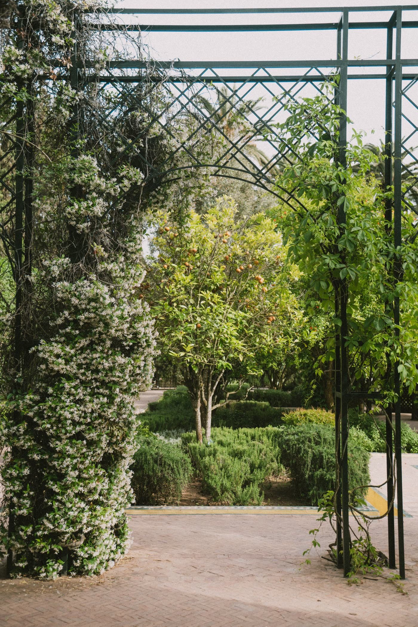 Arched Entry Trellis