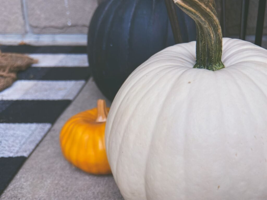 diy halloween doormat - Cozy Patio Home