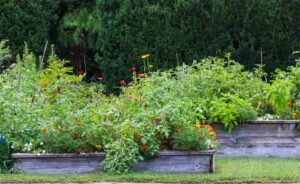 diy raised garden bed ideas - Cozy Patio Home