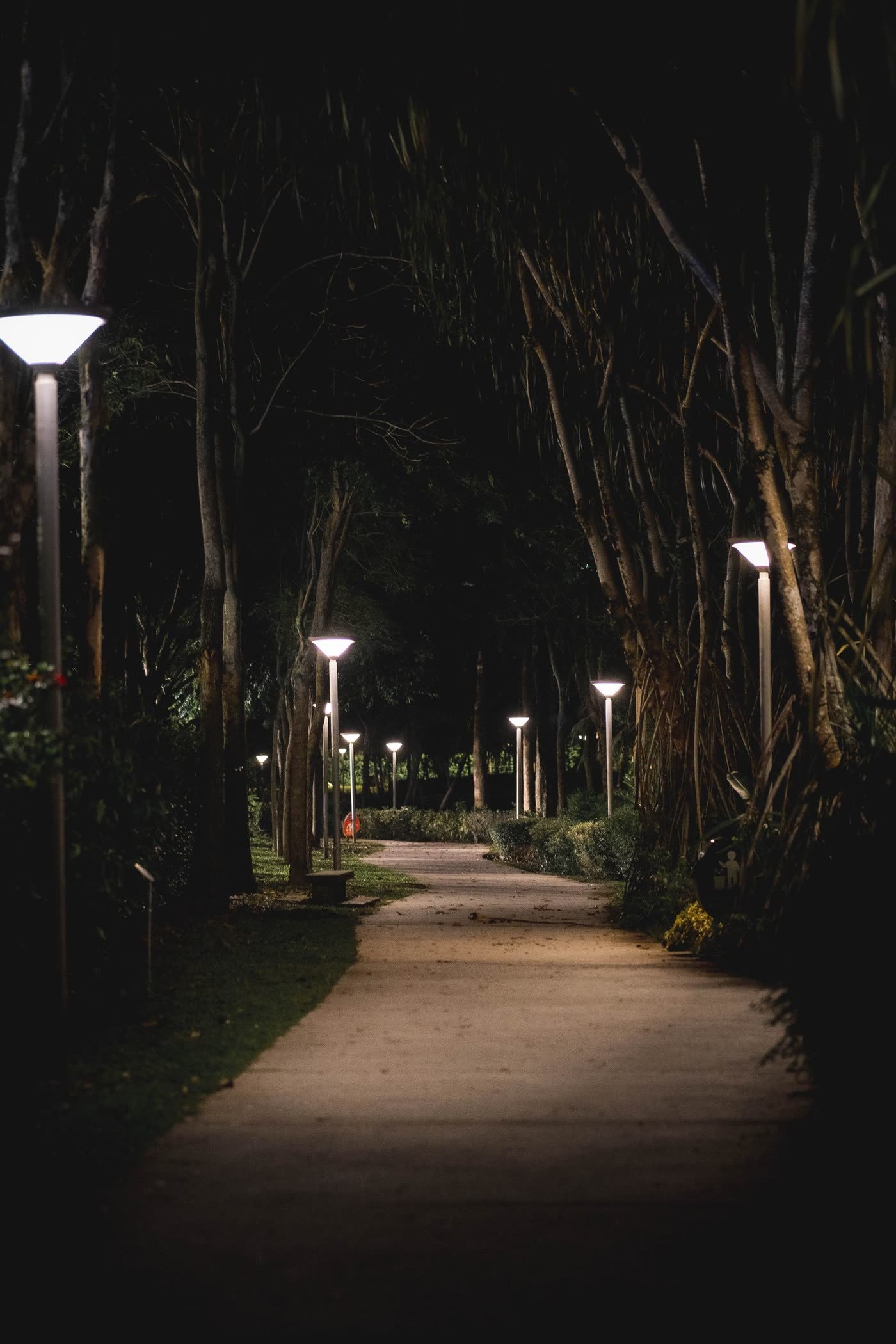 Night Lighting Along Paths