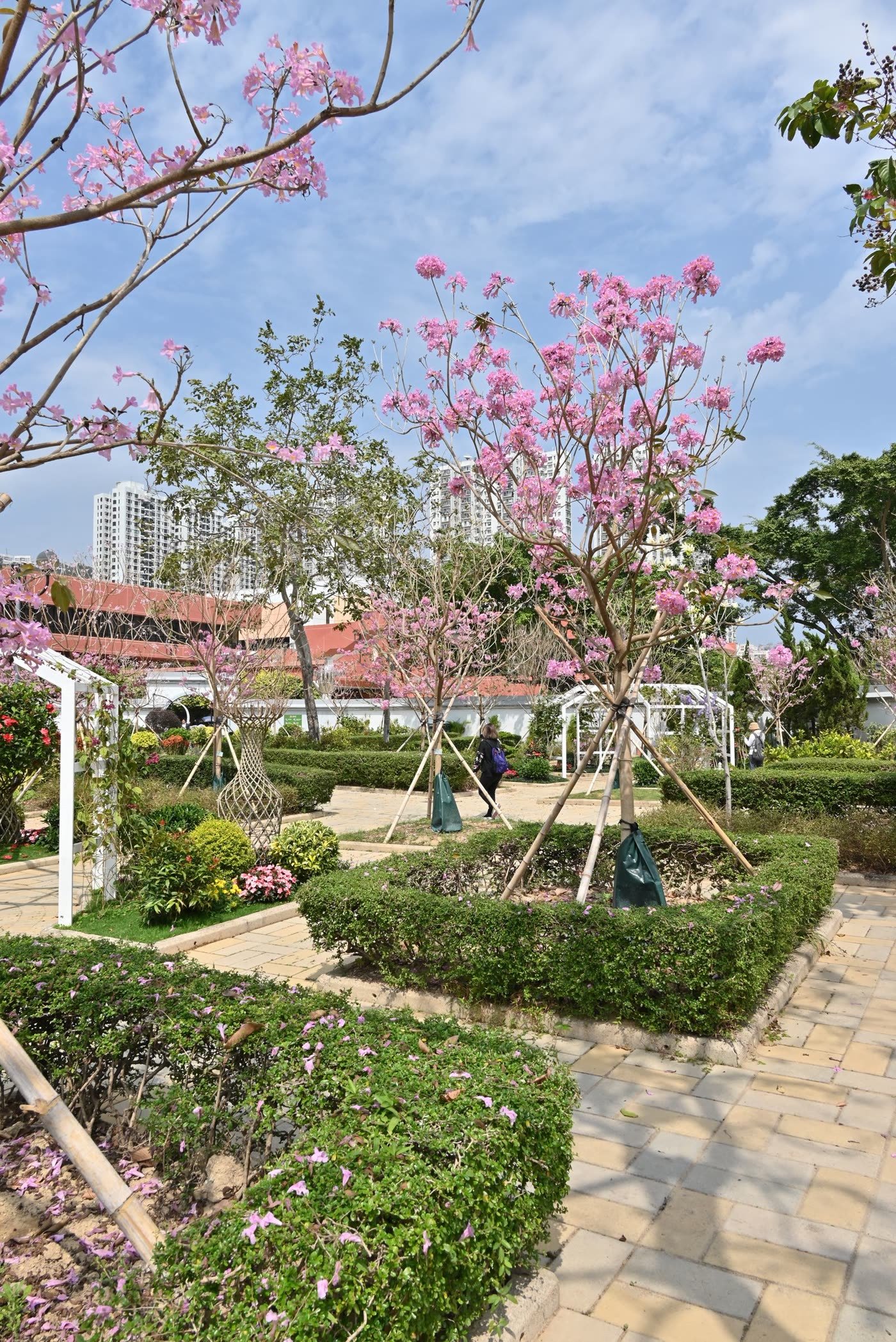 Scent Garden Corner