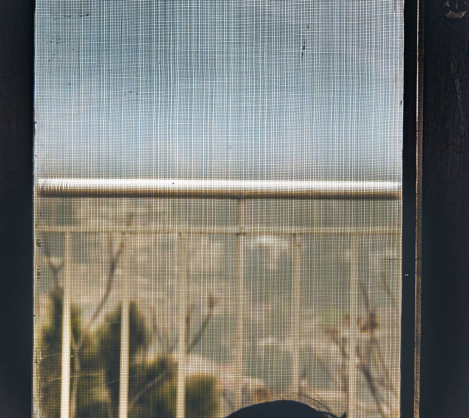 Close-up of standard fiberglass patio screen mesh viewed from a porch