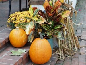front door planter ideas - Cozy Patio Home