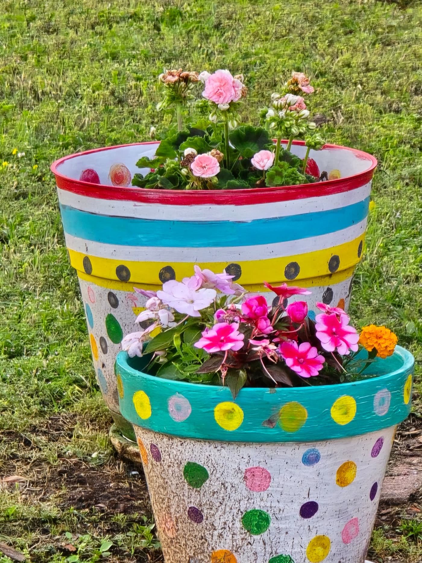 Painted Pots in Your Door Color