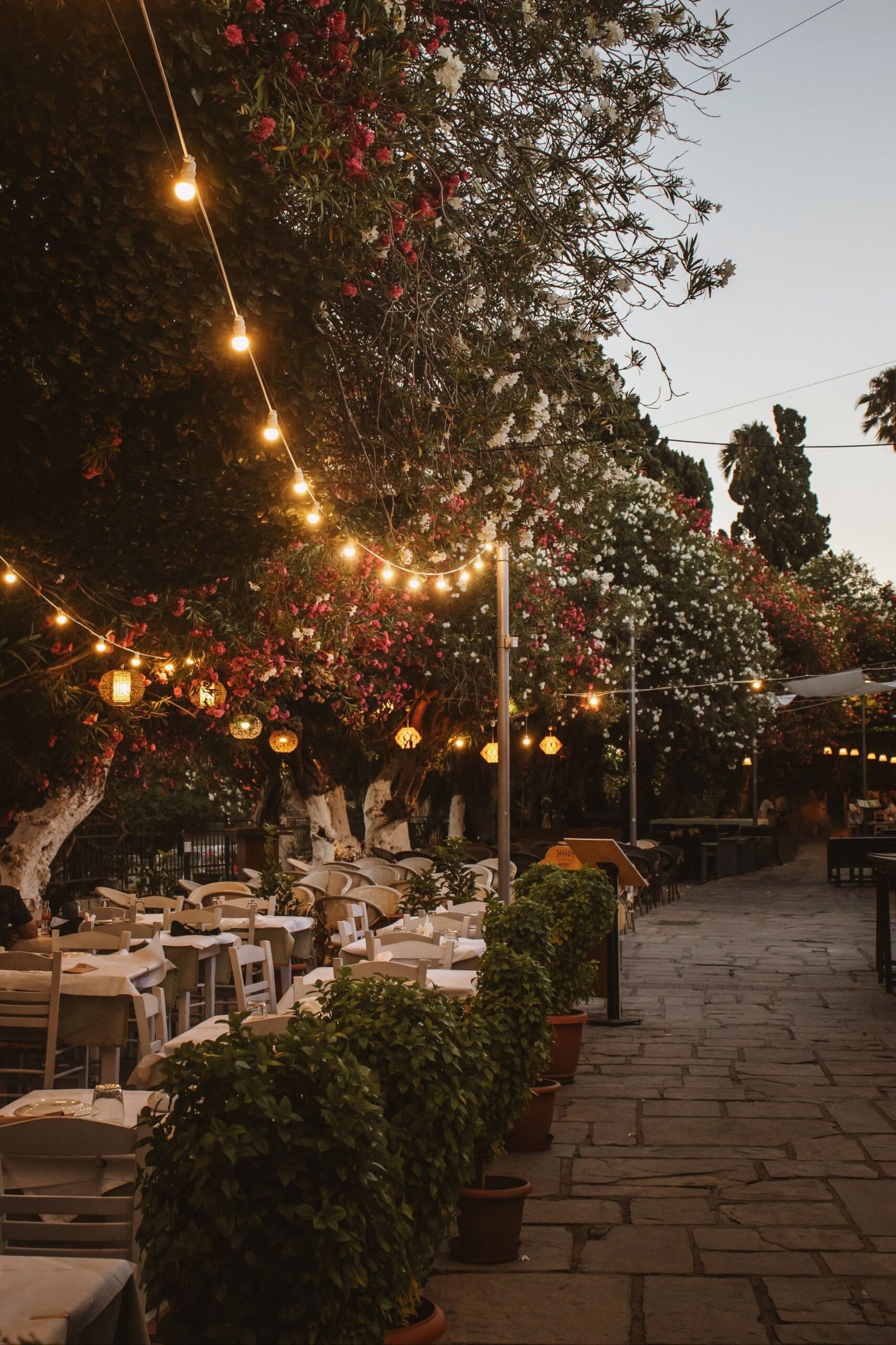 How many outdoor string lights — lights strung over an outdoor dining area