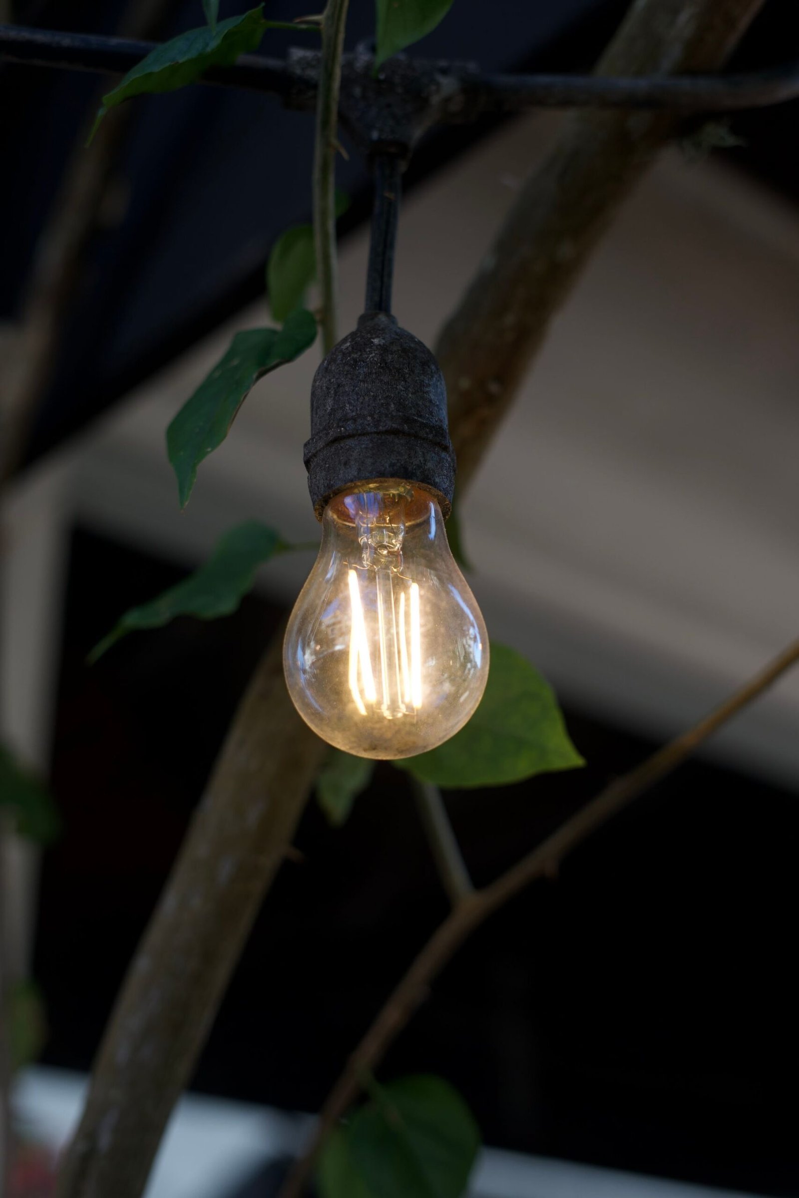 How many outdoor string lights — close-up of string light bulb on wire