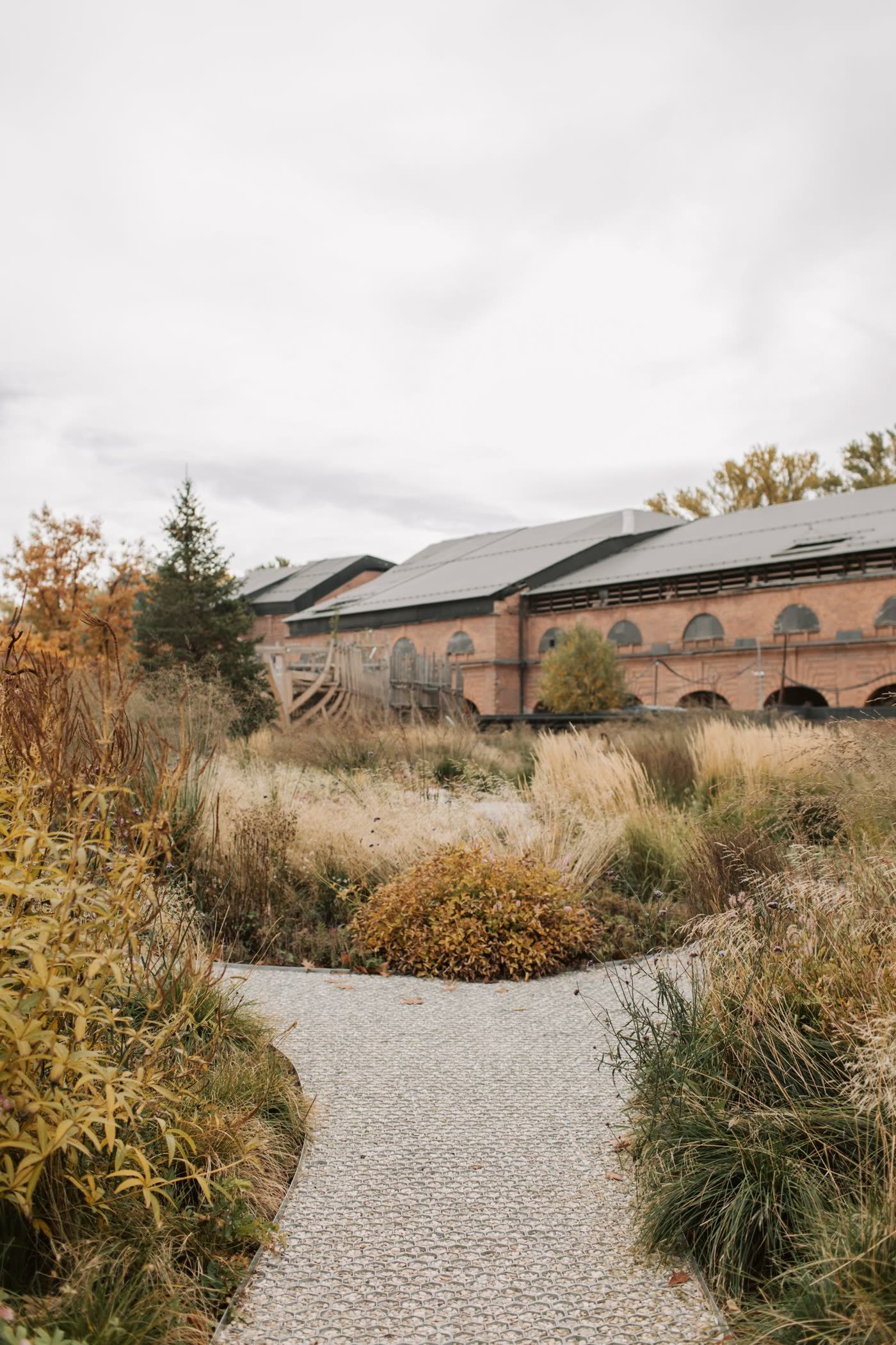 Gravel + Ornamental Grass Corridor