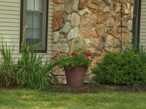 narrow side yard ideas - Cozy Patio Home