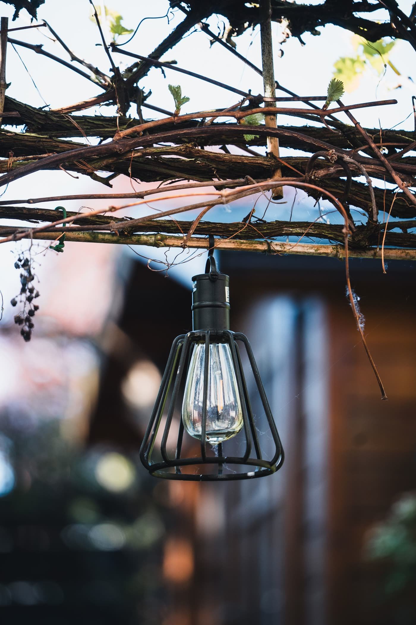 Hanging Pendant Lights from a Pergola