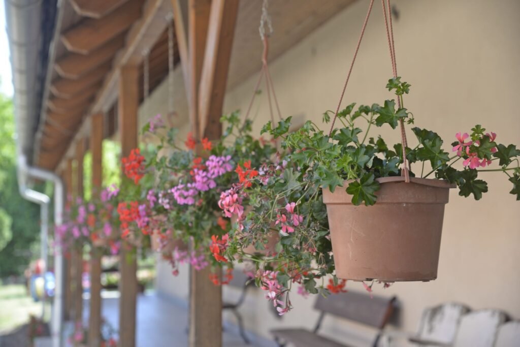 Patio privacy ideas — hanging plants for overhead privacy