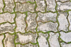 permeable paver patio ideas - Cozy Patio Home