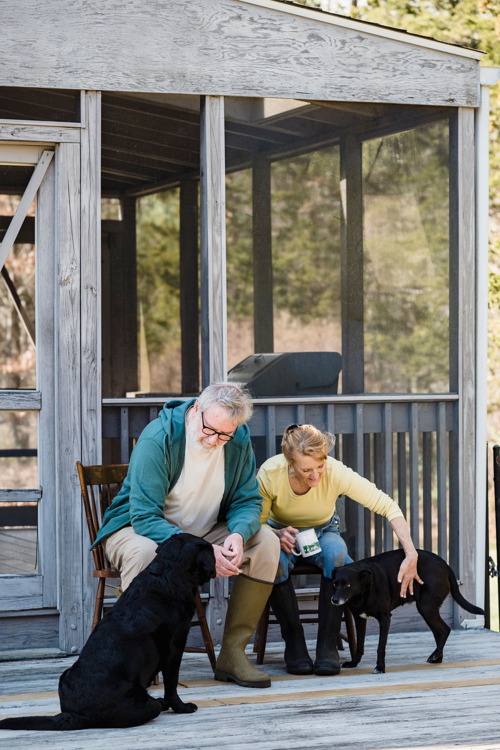 Dogs on a wooden porch — pet-proof patio screen enclosure for pet owners