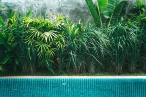 pool landscaping ideas - Cozy Patio Home