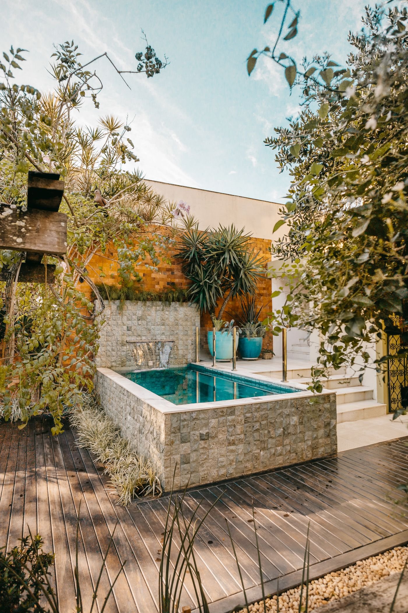 Small backyard pool on a budget: compact plunge pool surrounded by lush tropical greenery