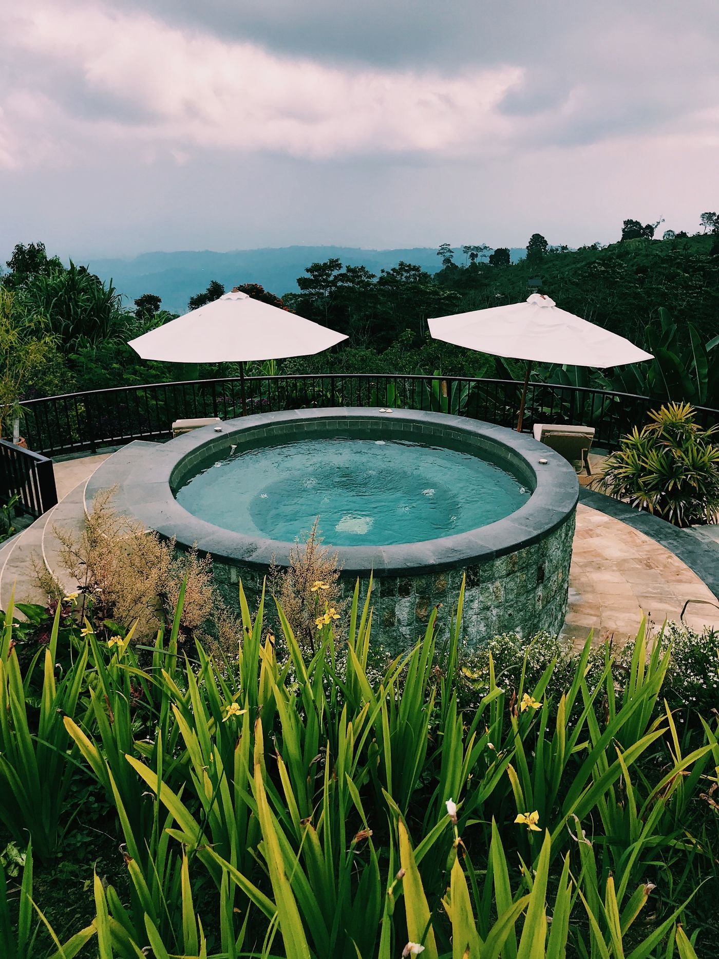 Spool spa pool combo: outdoor hot tub surrounded by lush green plants