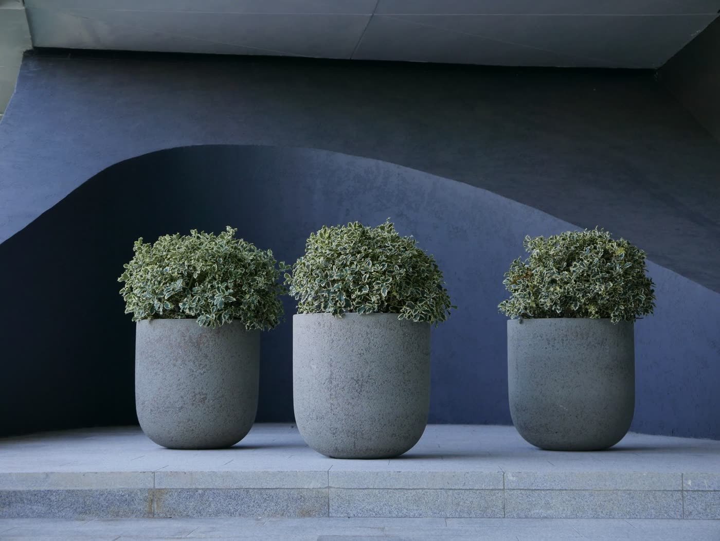 Tall Metal Planters for Modern Edge