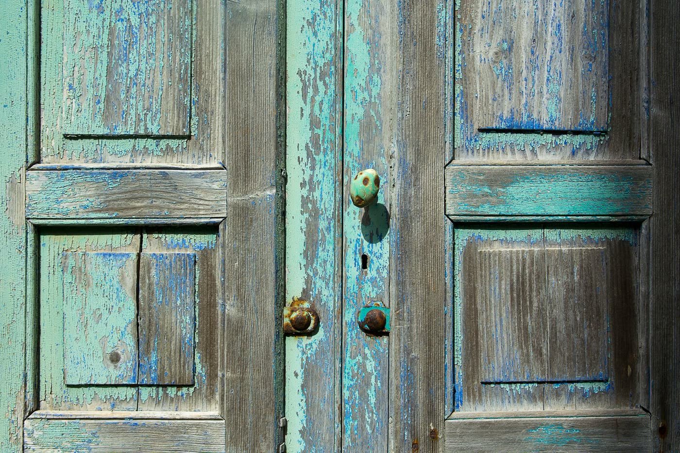 Paint the Door