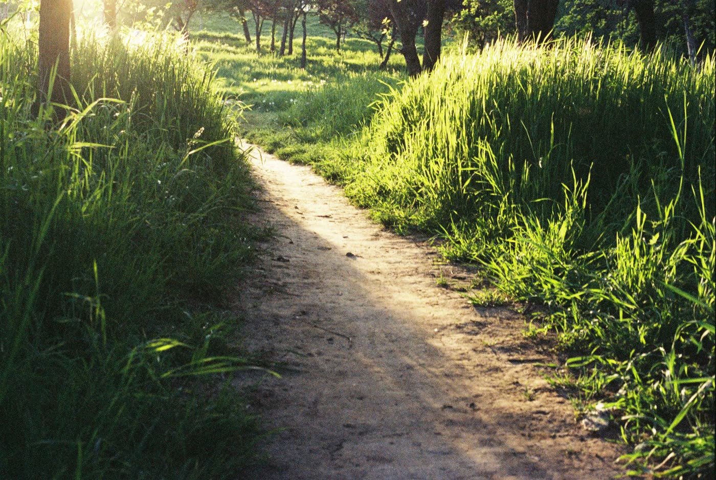 Keep the Path Clear