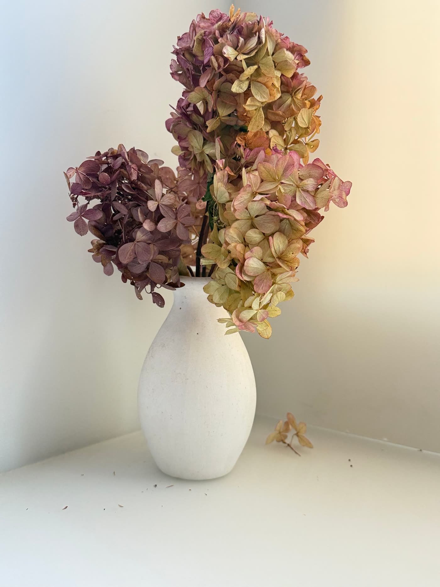 Dried Hydrangeas in Urns